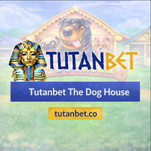 Tutanbet The Dog House, yüksek çarpanlı kazançlara ulaşmada en sevılen slot oyunlarındandır.